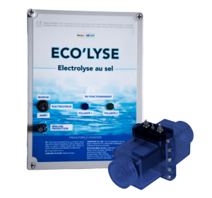 traitement sel piscine