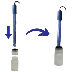 Immerger et stocker la sonde dans le flacon